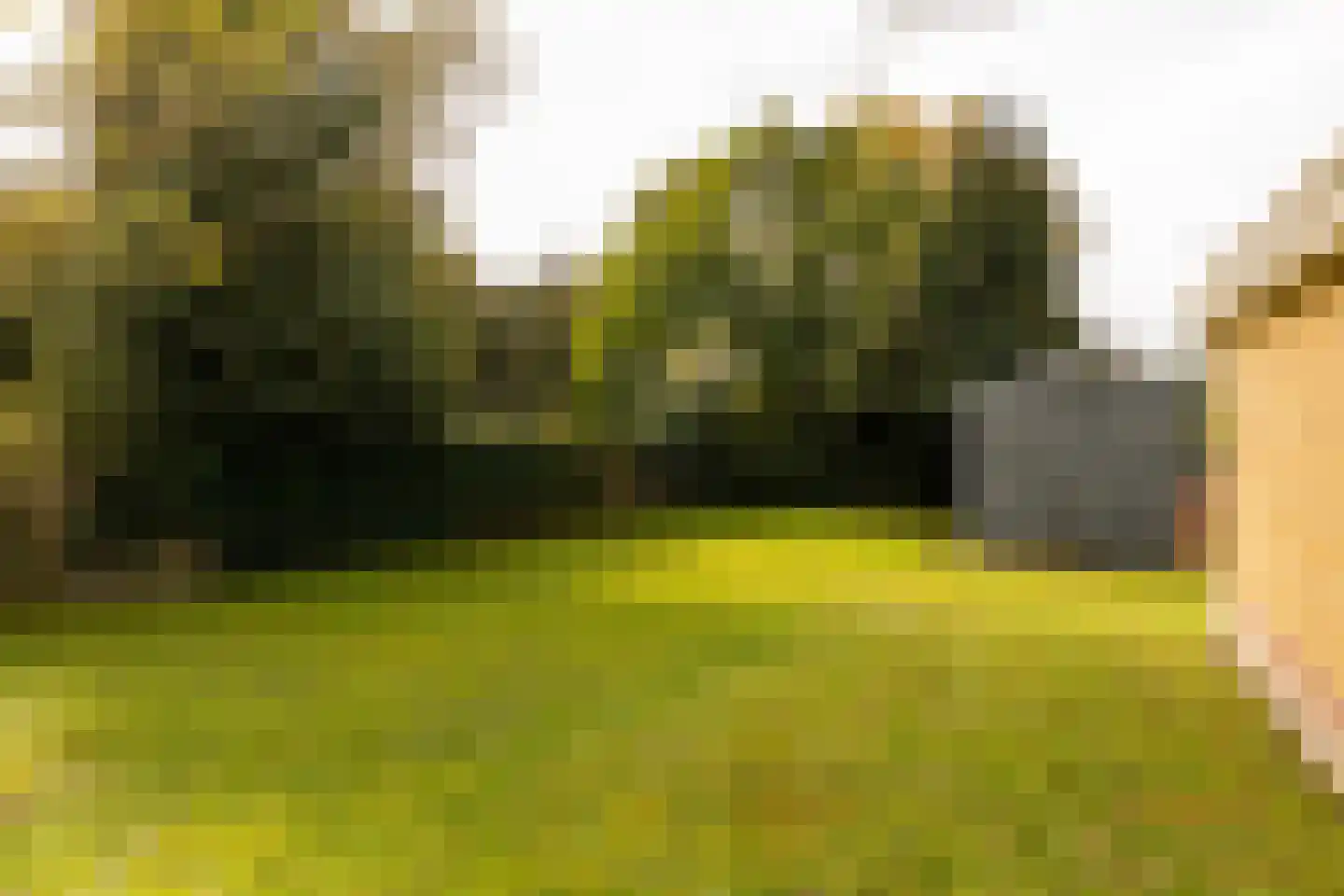Tolweg 12 Zuidwolde thumbnail 33