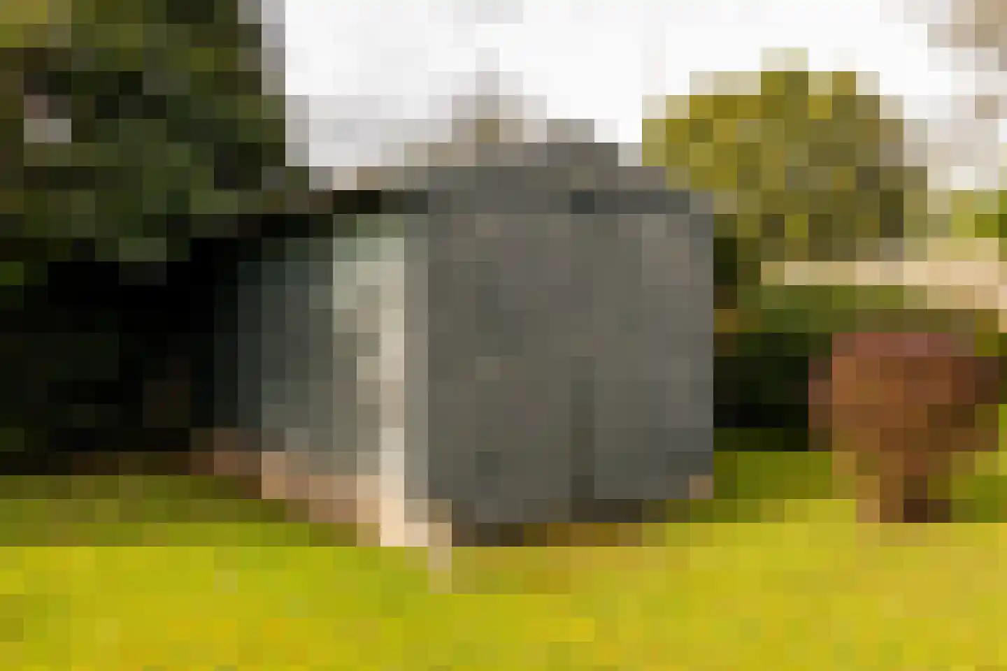 Tolweg 12 Zuidwolde thumbnail 35