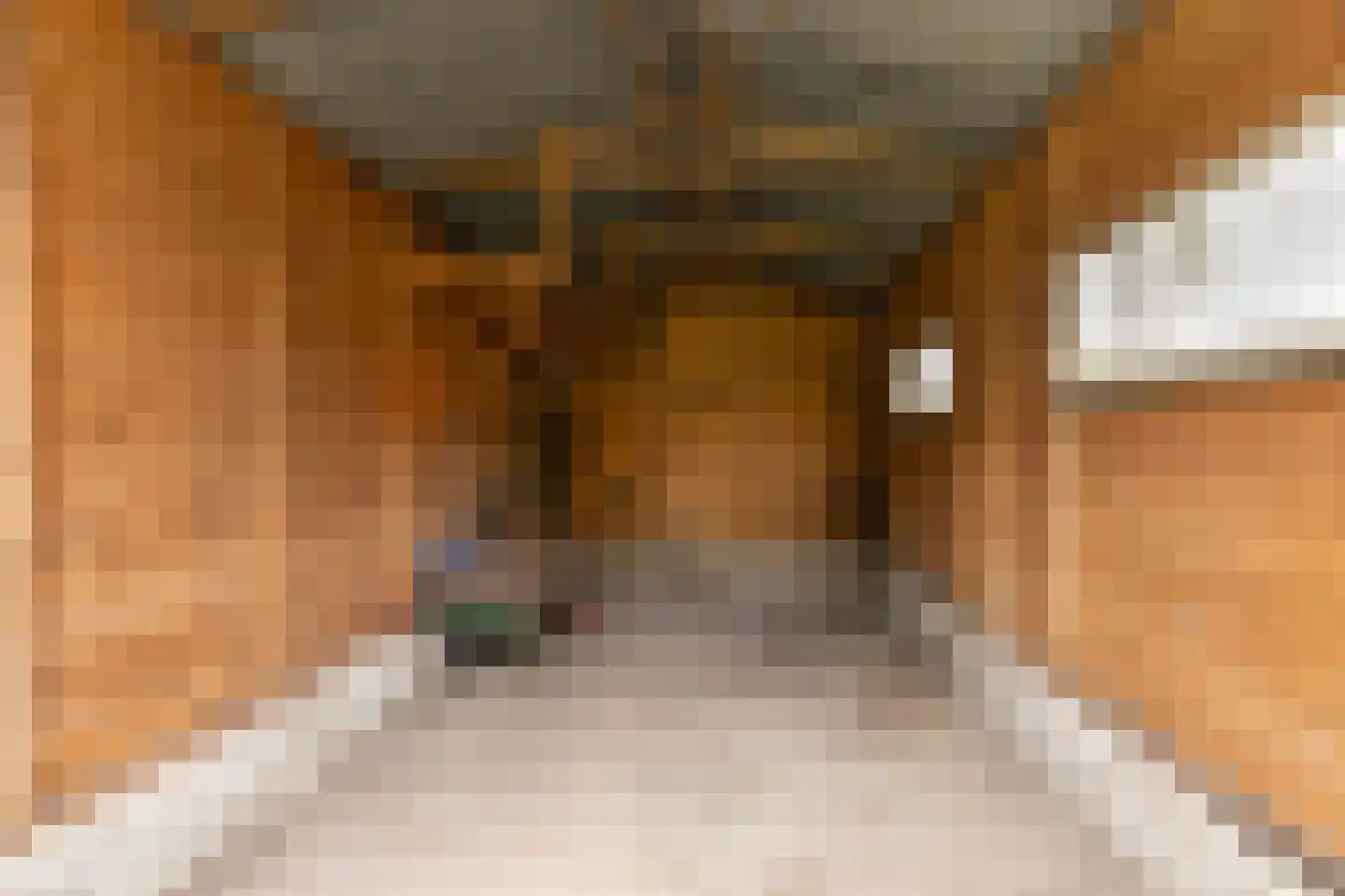 Tolweg 12 Zuidwolde thumbnail 36
