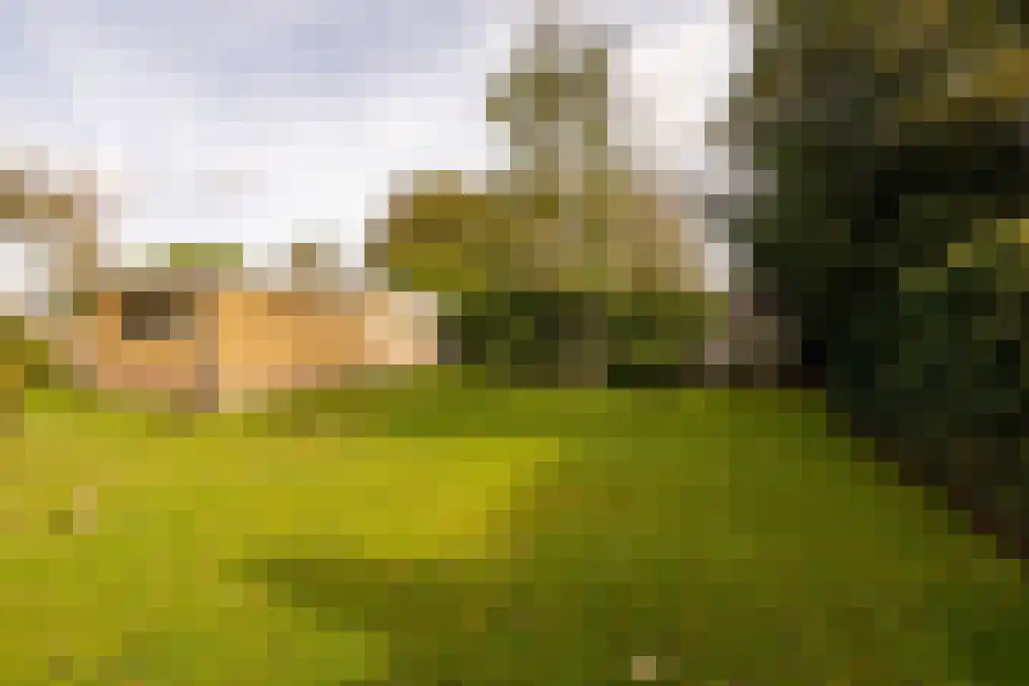 Tolweg 12 Zuidwolde thumbnail 37