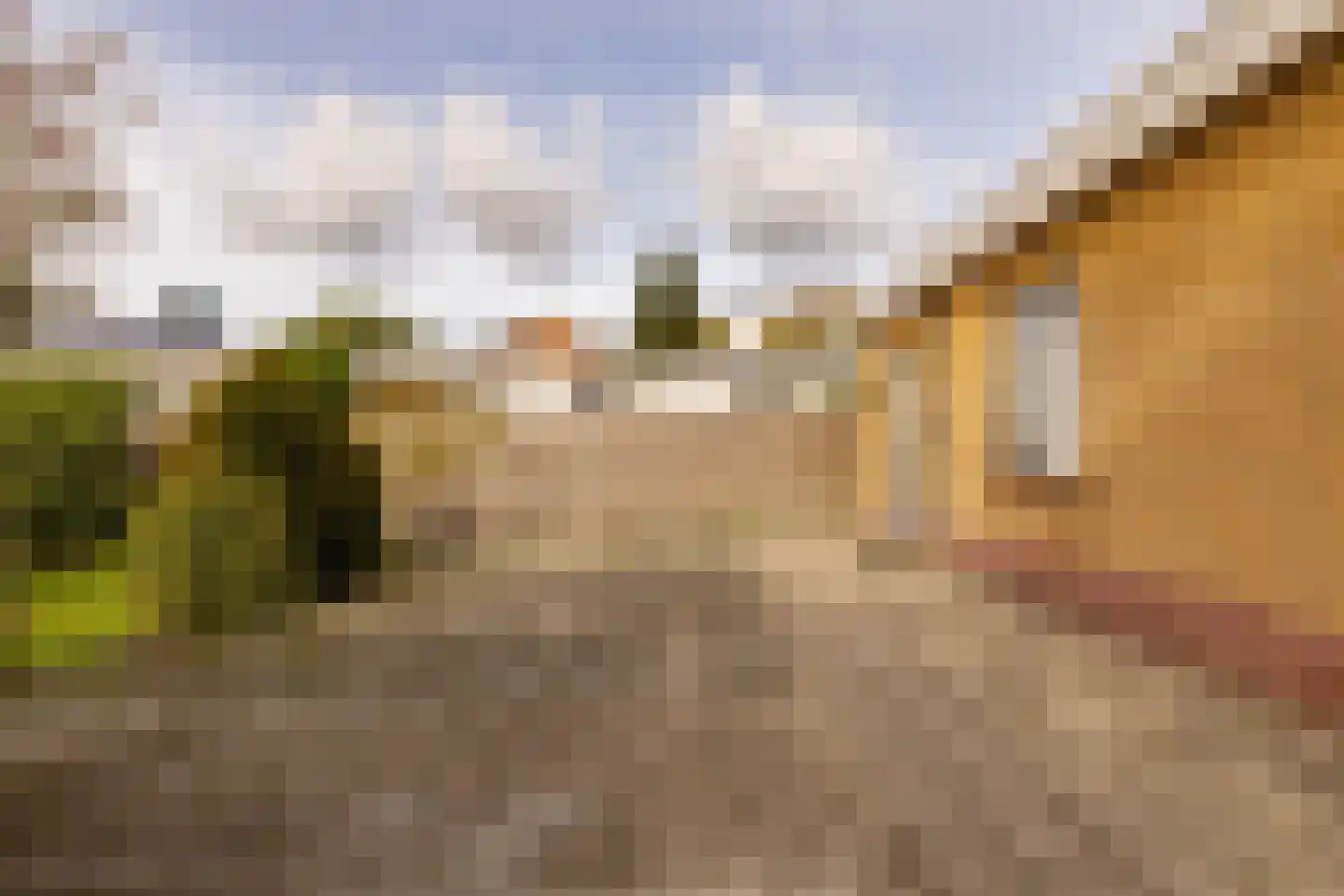 Tolweg 12 Zuidwolde thumbnail 38