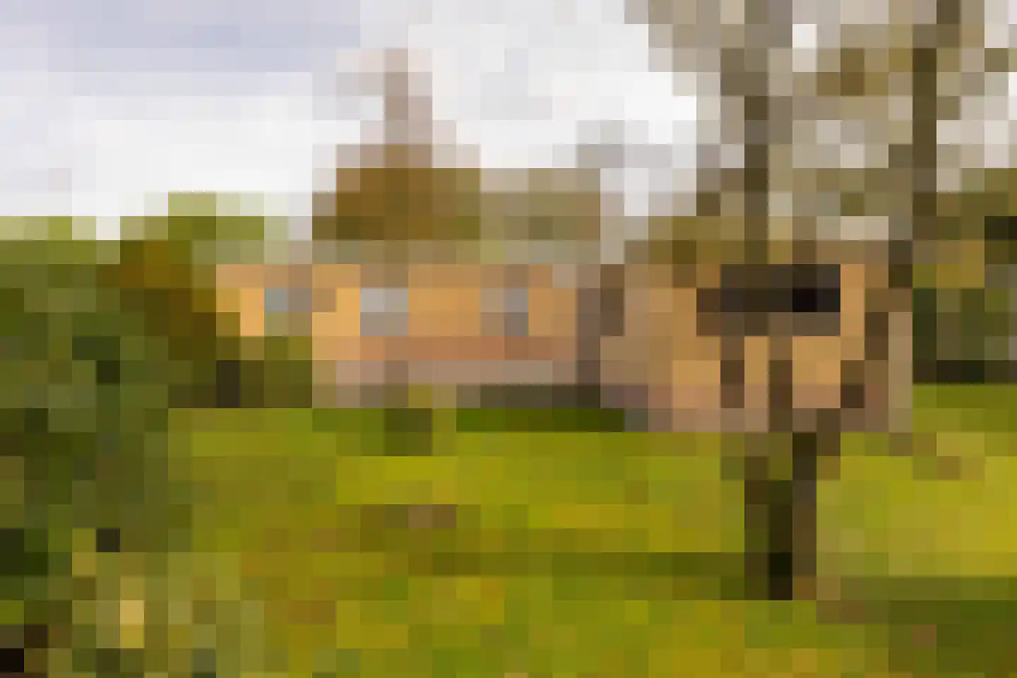 Tolweg 12 Zuidwolde thumbnail 41
