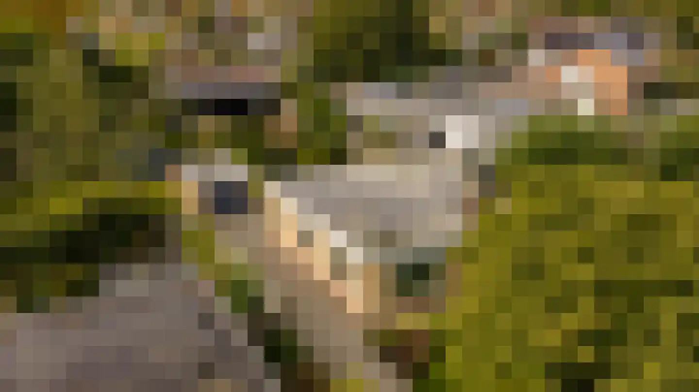 Tolweg 12 Zuidwolde thumbnail 43