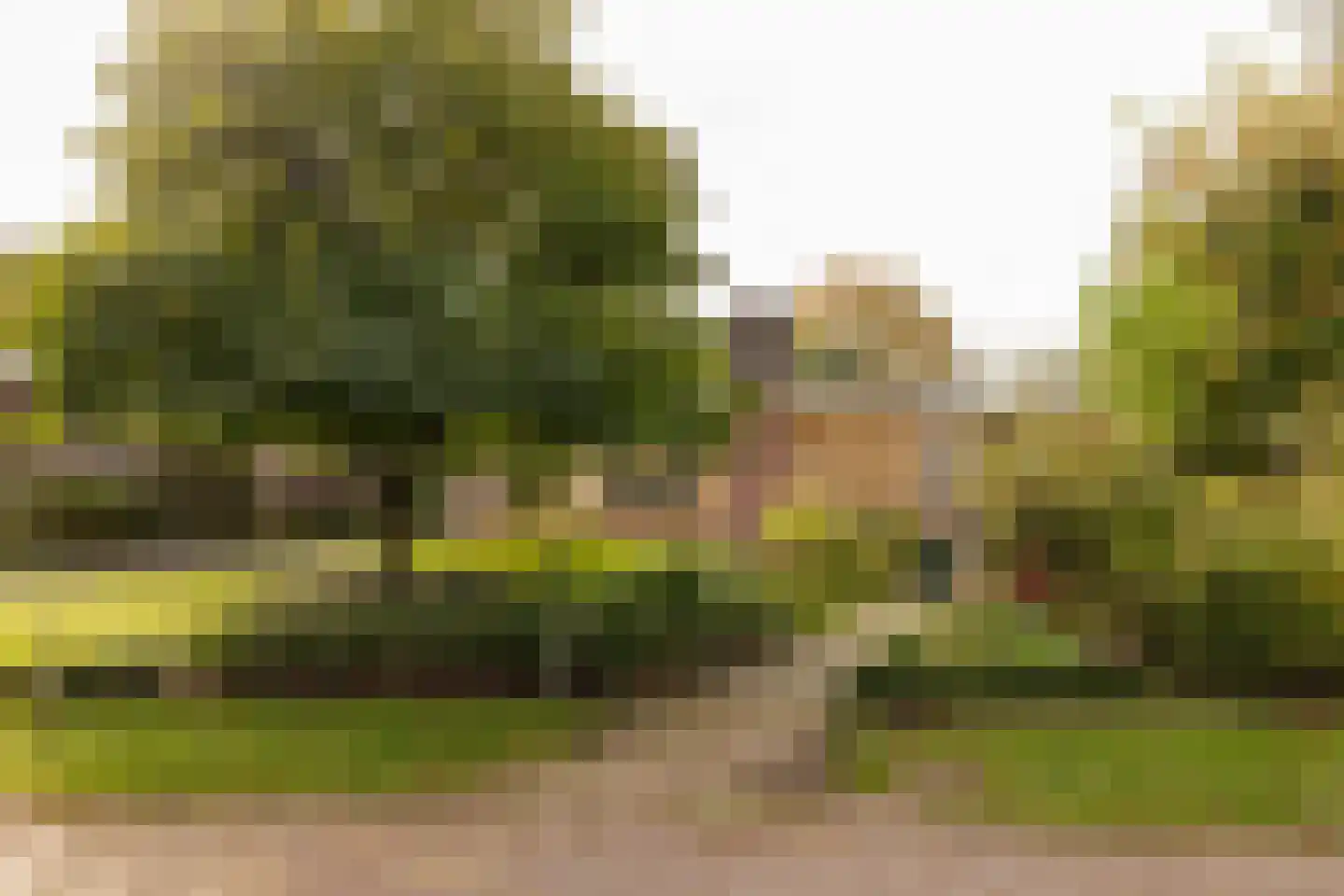 Tolweg 12 Zuidwolde thumbnail 46