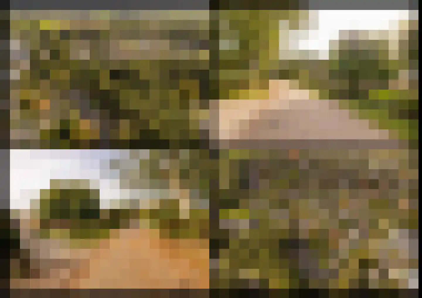 Tolweg 12 Zuidwolde thumbnail 47