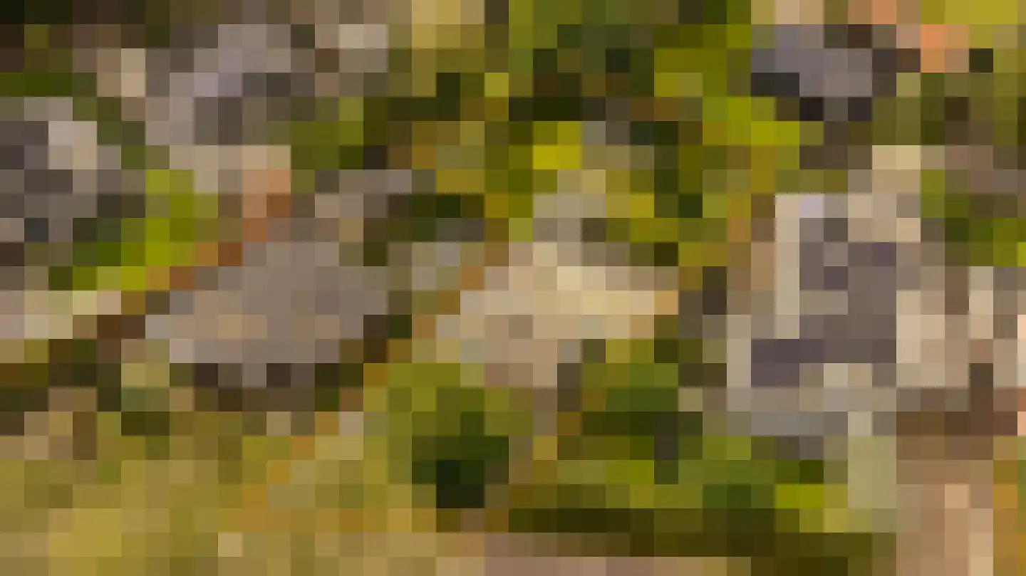 Tolweg 12 Zuidwolde thumbnail 6