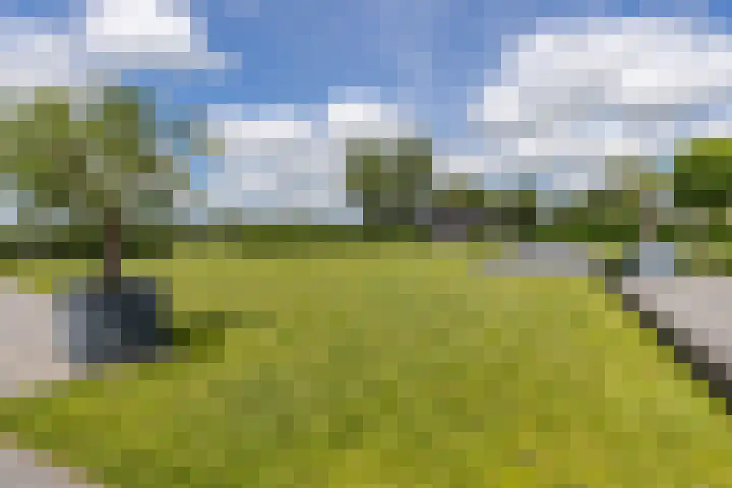 Tolweg 16 a Appingedam thumbnail 20