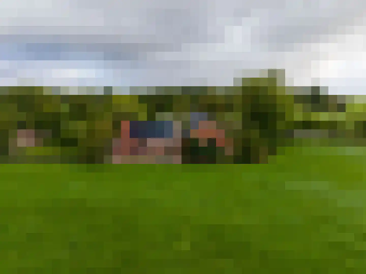 Tolweg 2 Westerwijtwerd thumbnail 11