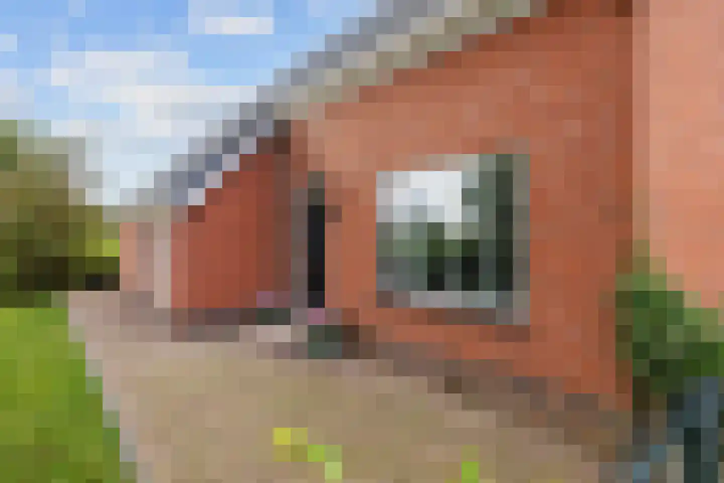Tolweg 2 Westerwijtwerd thumbnail 17