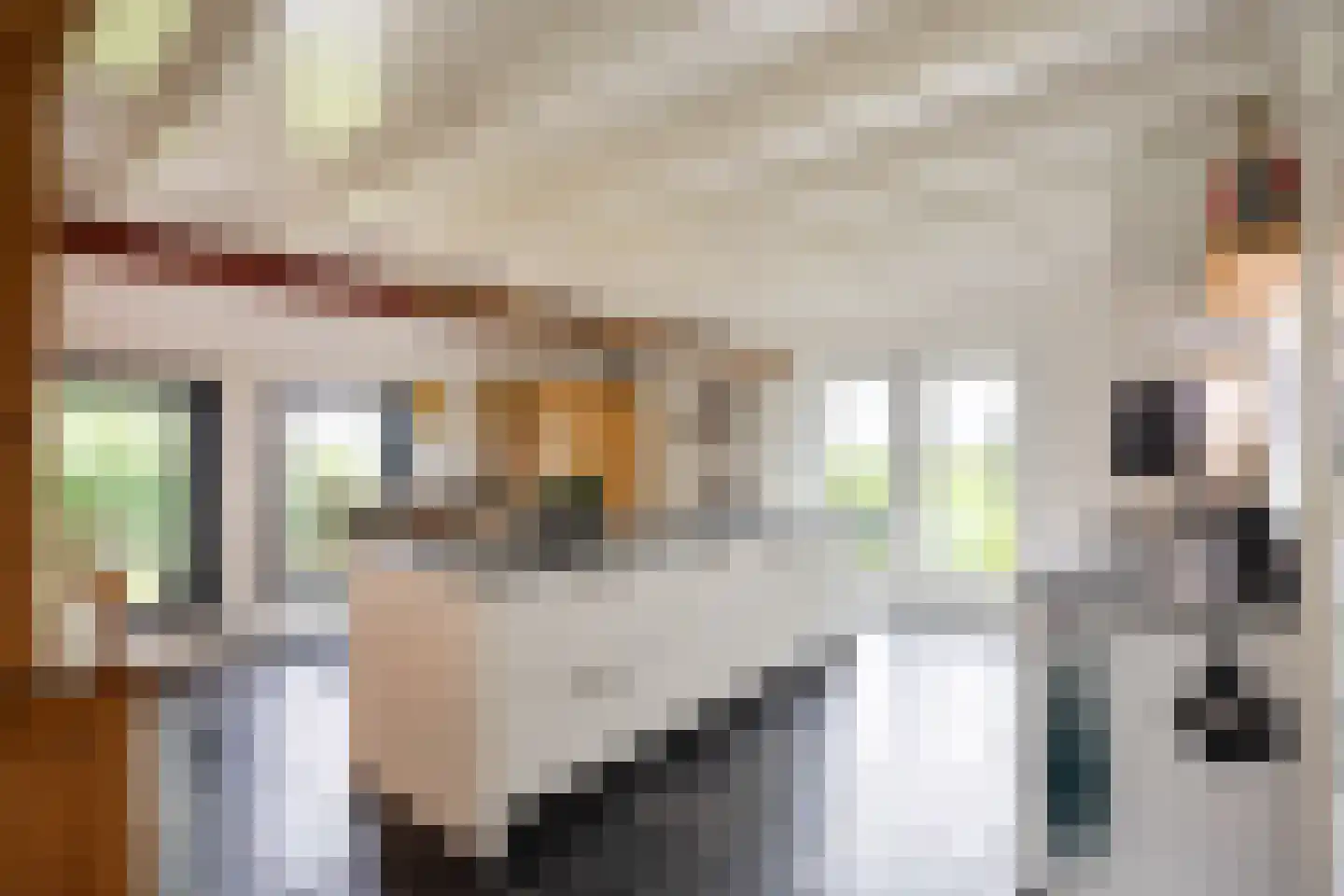 Tolweg 2 Westerwijtwerd thumbnail 27