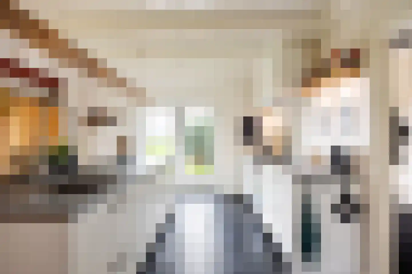 Tolweg 2 Westerwijtwerd thumbnail 28
