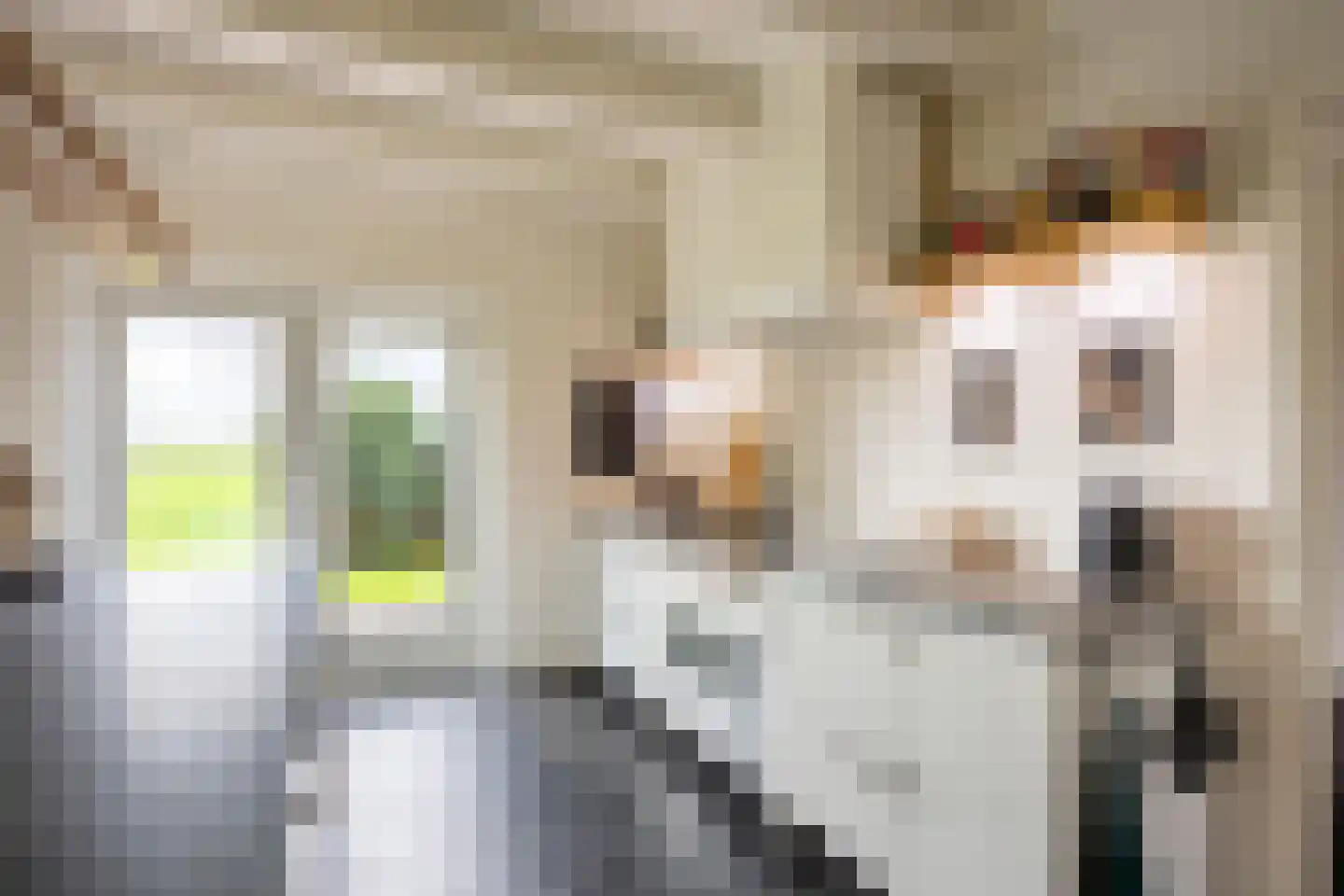 Tolweg 2 Westerwijtwerd thumbnail 29