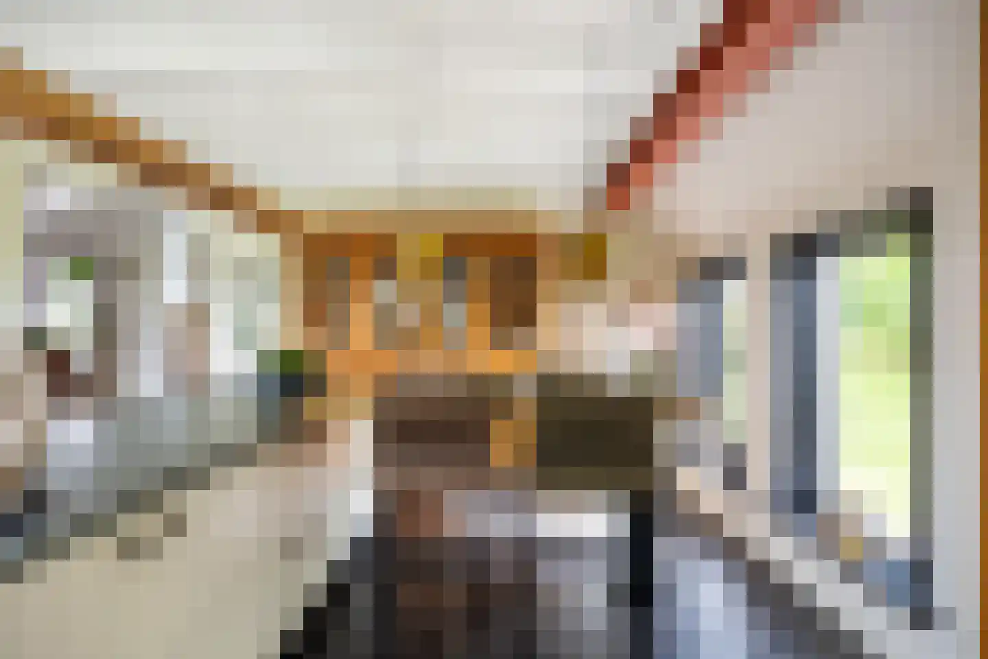 Tolweg 2 Westerwijtwerd thumbnail 30