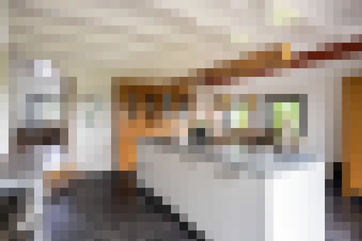 Tolweg 2 Westerwijtwerd thumbnail 33
