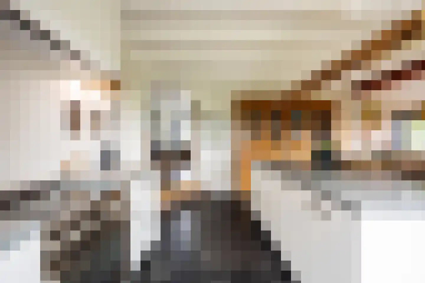 Tolweg 2 Westerwijtwerd thumbnail 34