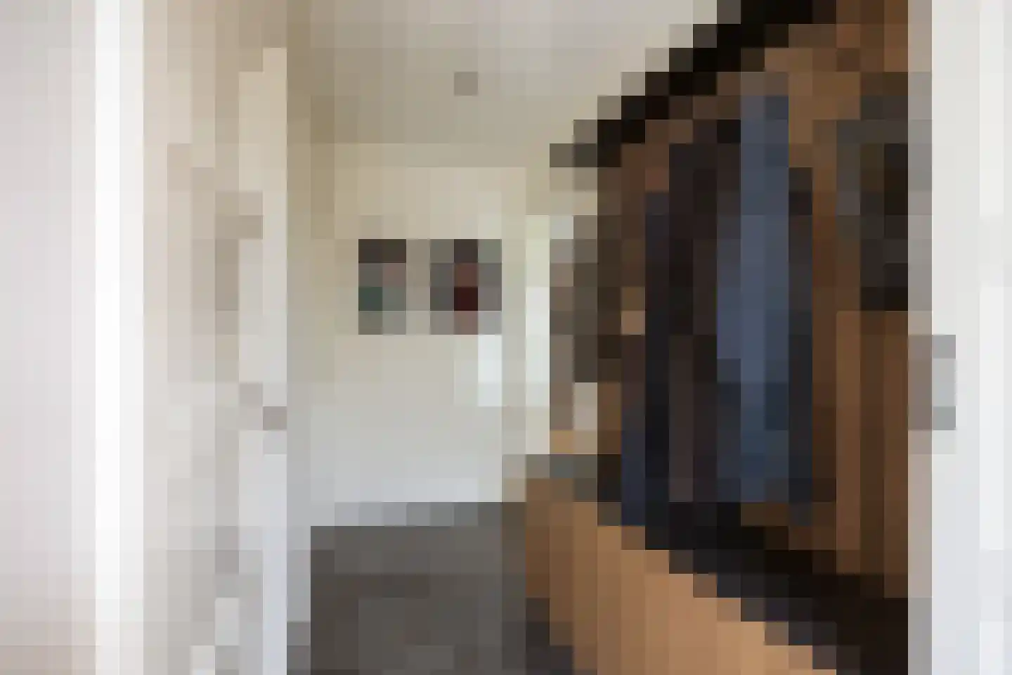 Tolweg 2 Westerwijtwerd thumbnail 38