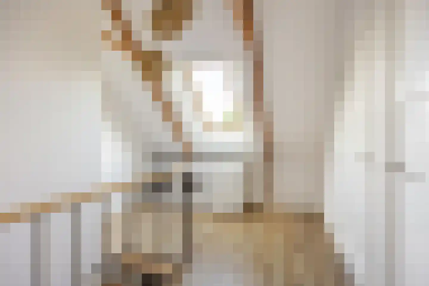 Tolweg 2 Westerwijtwerd thumbnail 46