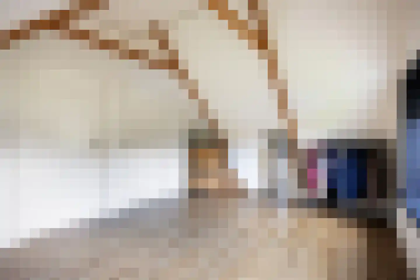 Tolweg 2 Westerwijtwerd thumbnail 51
