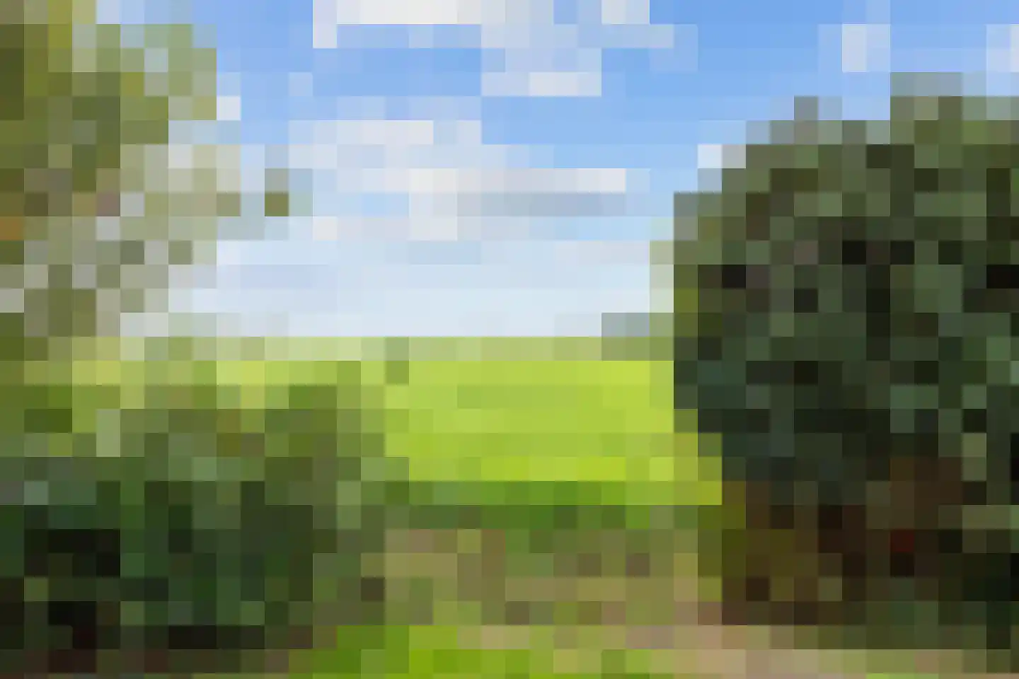 Tolweg 2 Westerwijtwerd thumbnail 55