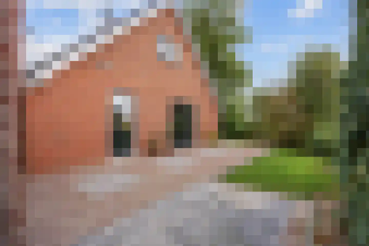 Tolweg 2 Westerwijtwerd thumbnail 56