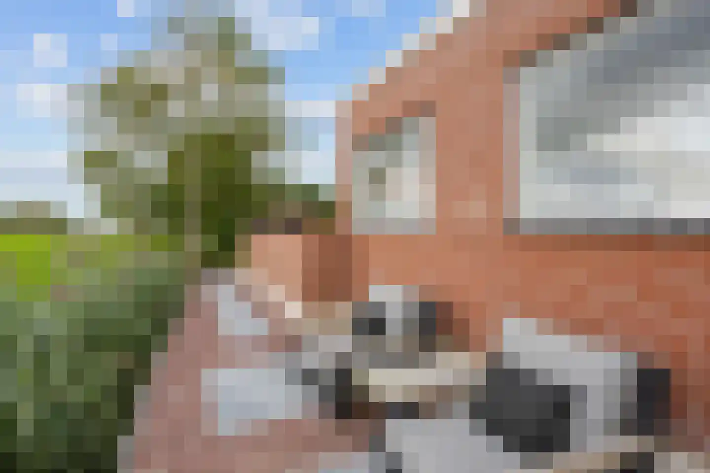 Tolweg 2 Westerwijtwerd thumbnail 57