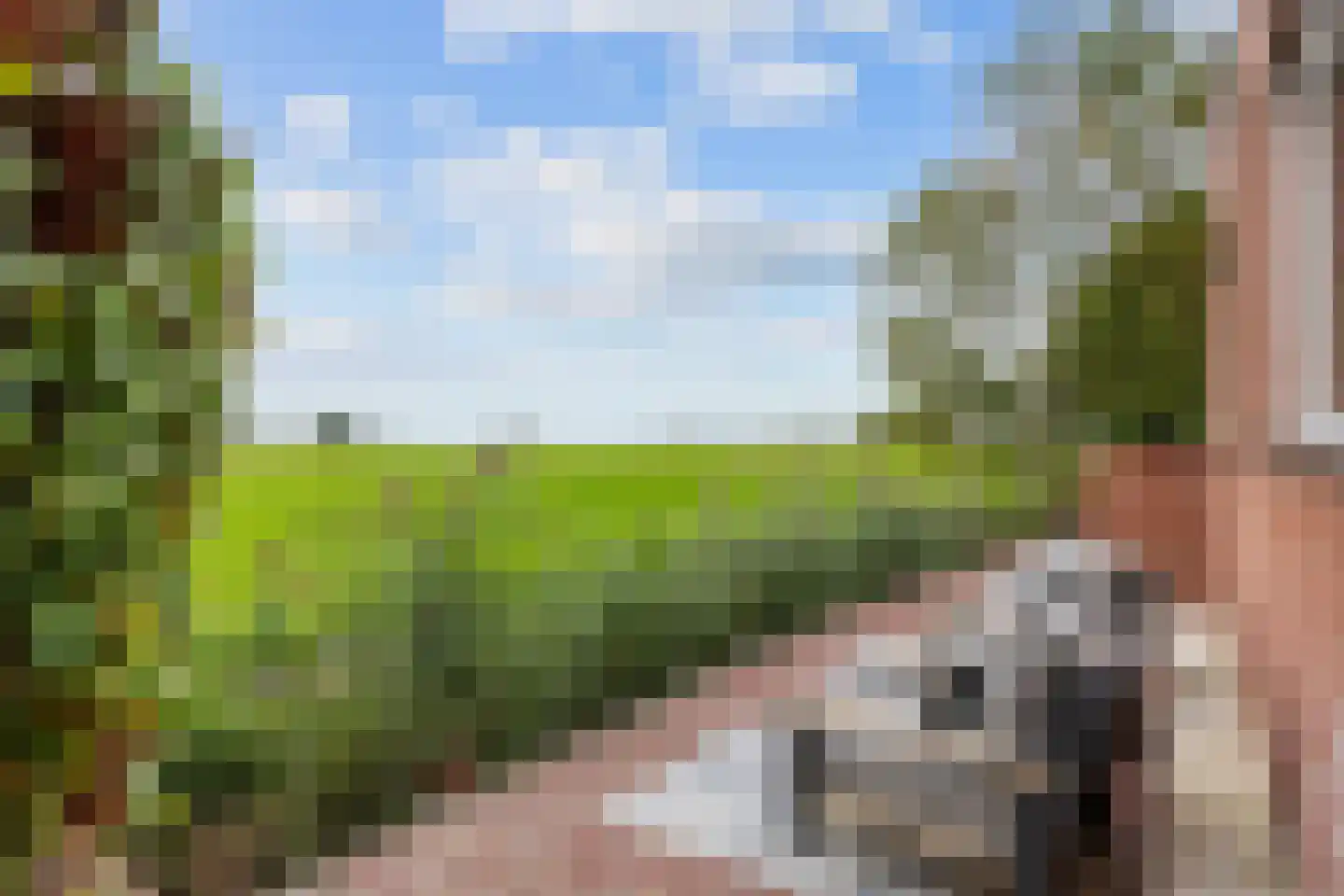 Tolweg 2 Westerwijtwerd thumbnail 58
