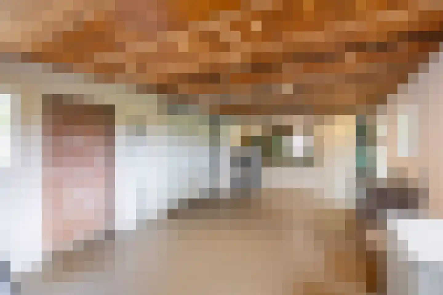 Tolweg 2 Westerwijtwerd thumbnail 62