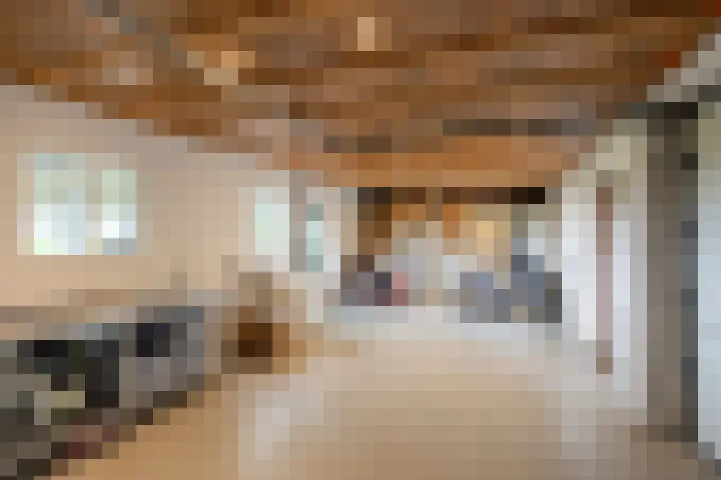 Tolweg 2 Westerwijtwerd thumbnail 63