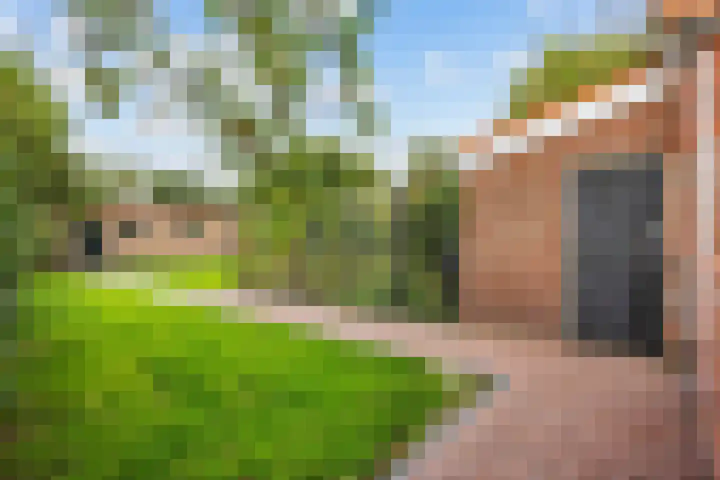 Tolweg 2 Westerwijtwerd thumbnail 64