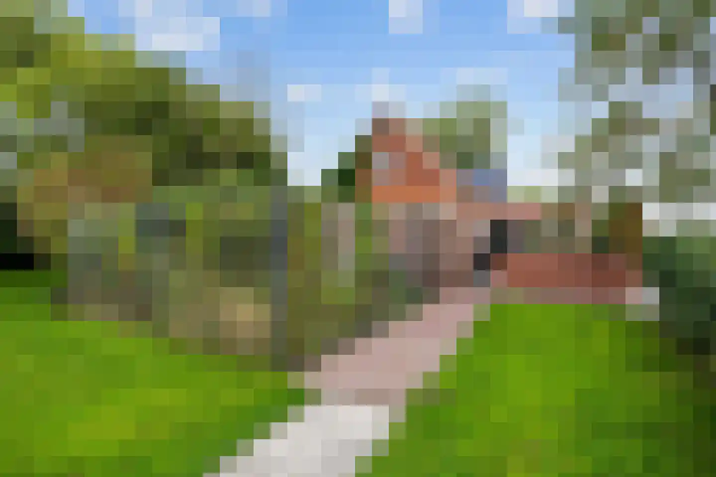 Tolweg 2 Westerwijtwerd thumbnail 65