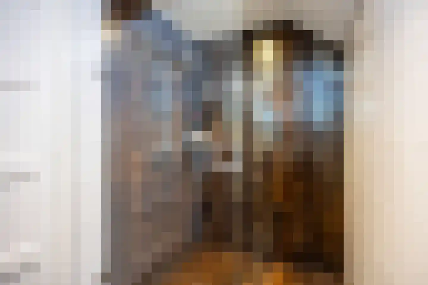 Tolweg 2 Westerwijtwerd thumbnail 7