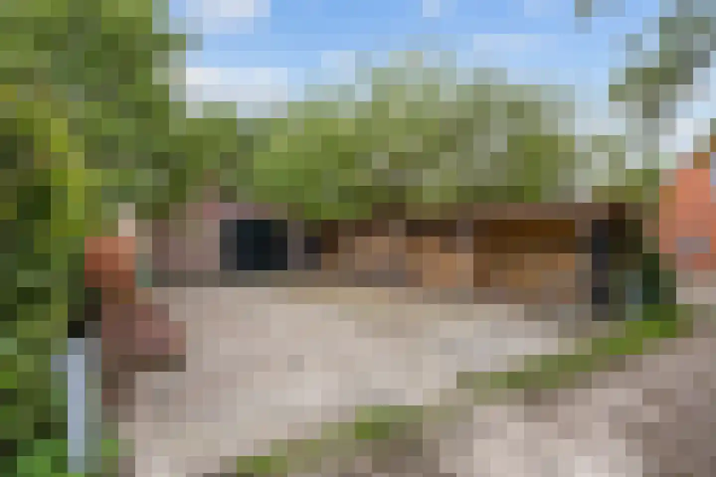 Tolweg 2 Westerwijtwerd thumbnail 70