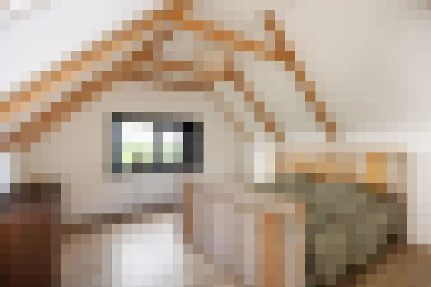 Tolweg 2 Westerwijtwerd thumbnail 8