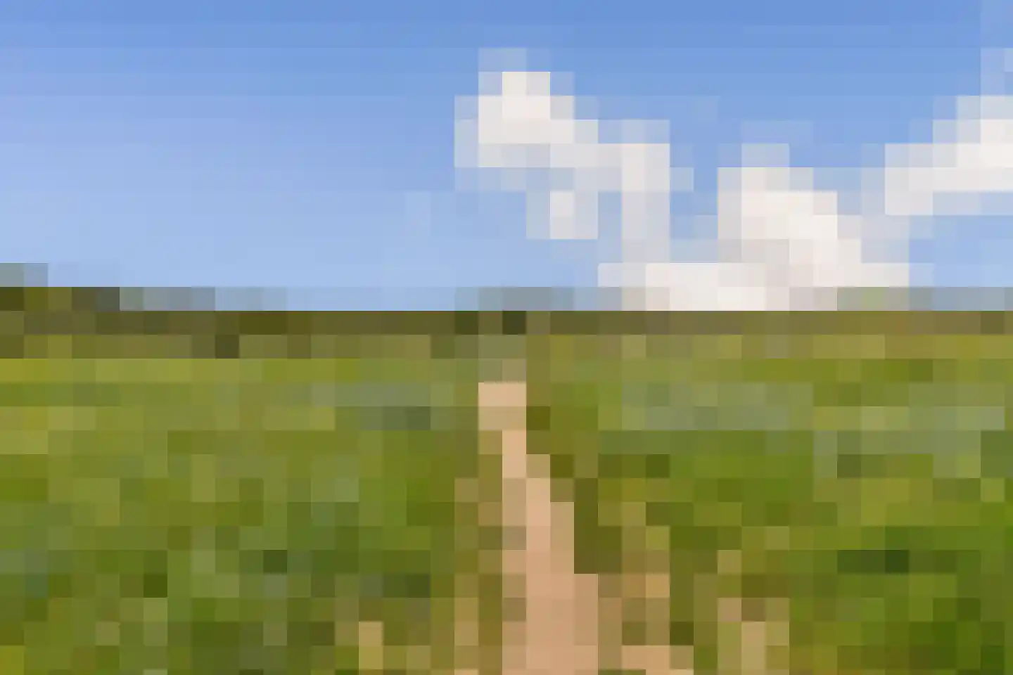 Tolweg 29 Zandvoort thumbnail 38