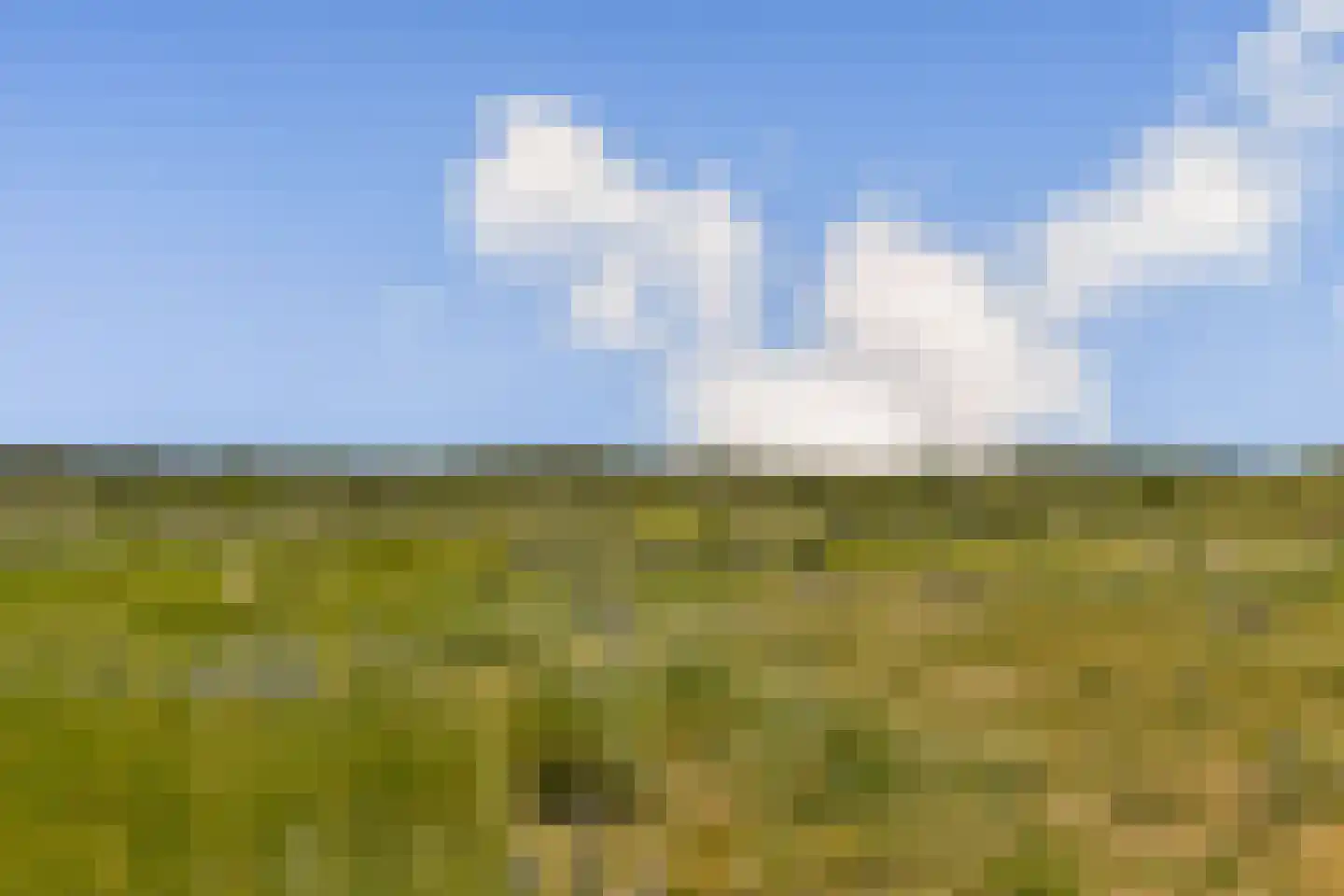 Tolweg 29 Zandvoort thumbnail 39