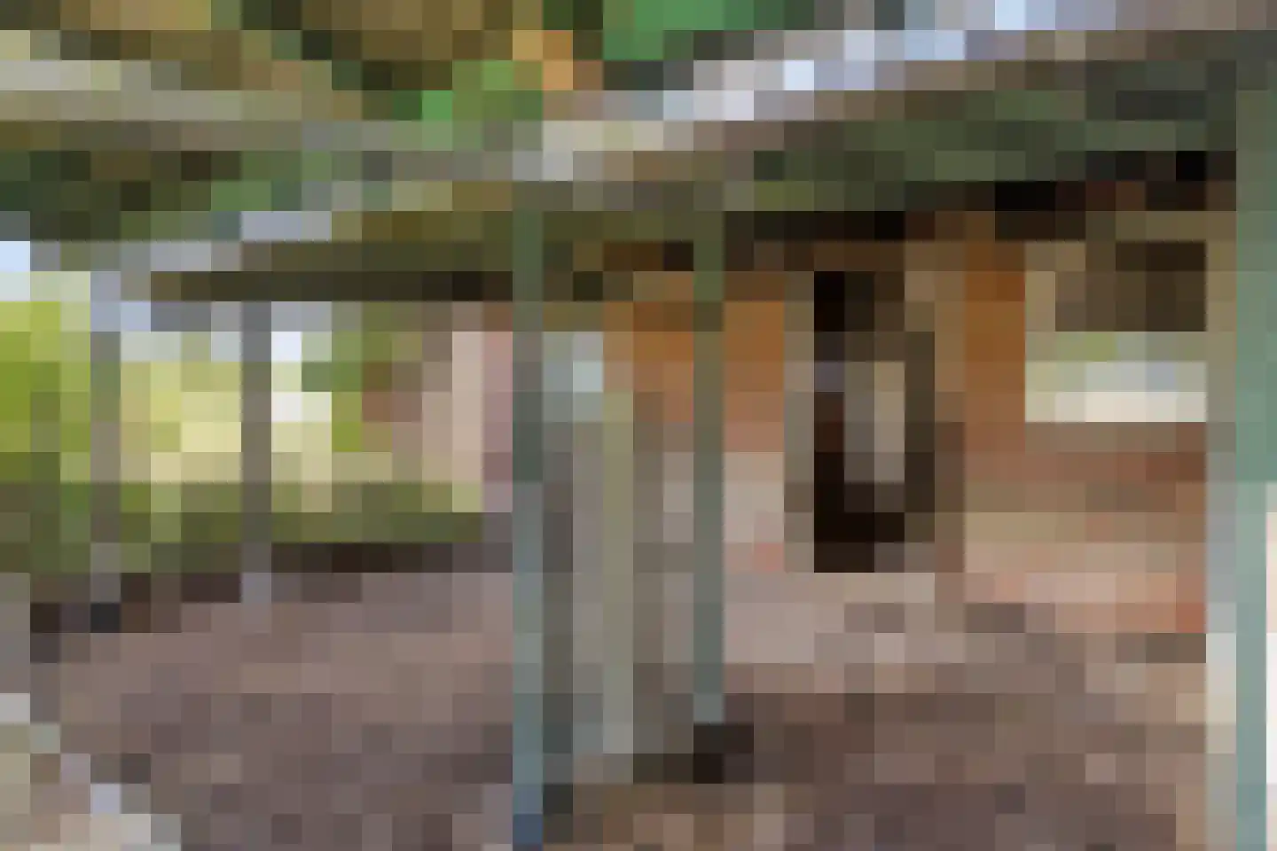 Tolweg 4 Appingedam thumbnail 19