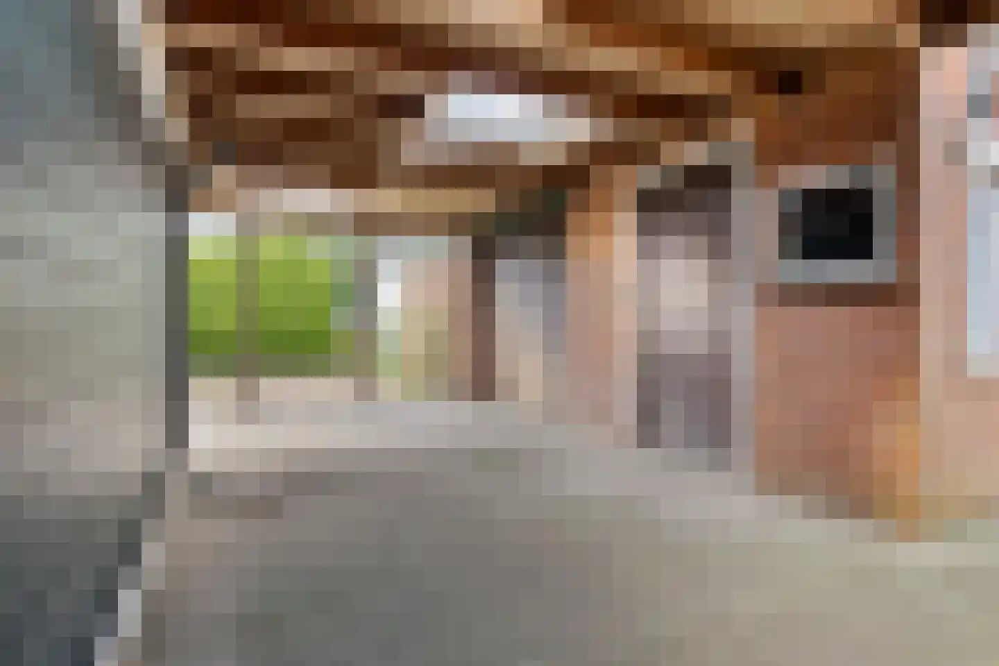 Tolweg 4 Appingedam thumbnail 22