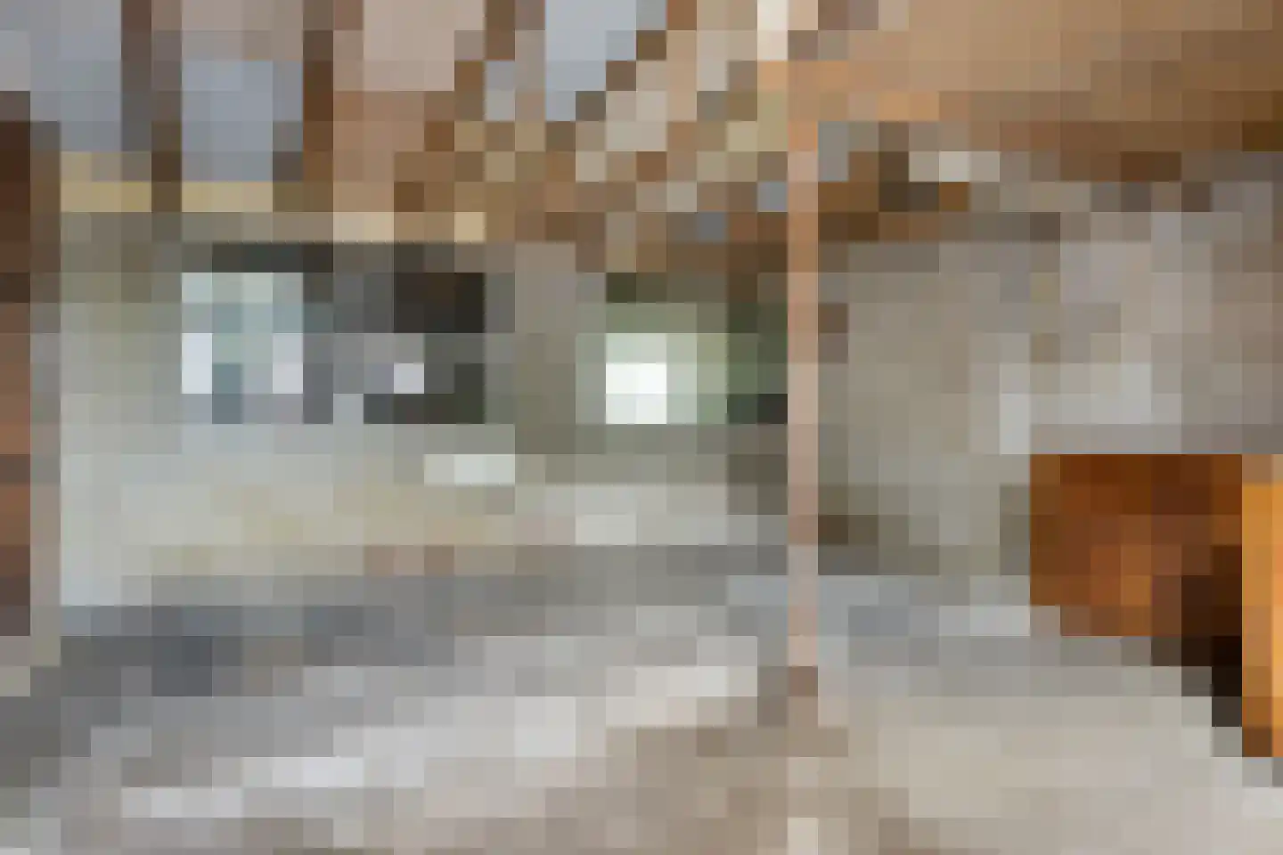 Tolweg 4 Appingedam thumbnail 30