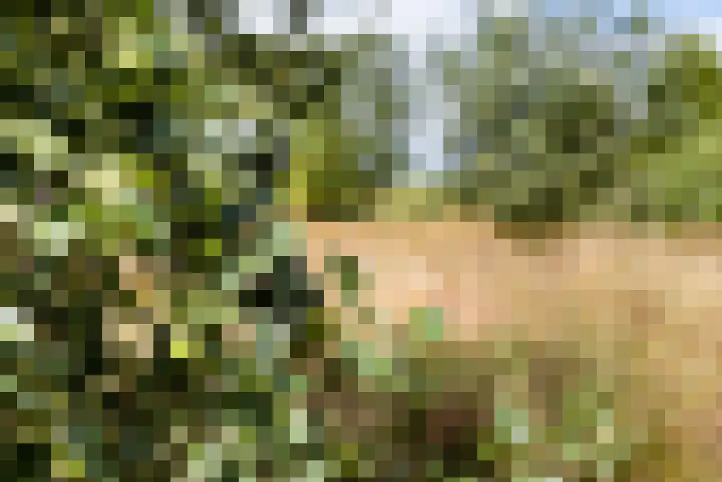 Tolweg 4 Appingedam thumbnail 4