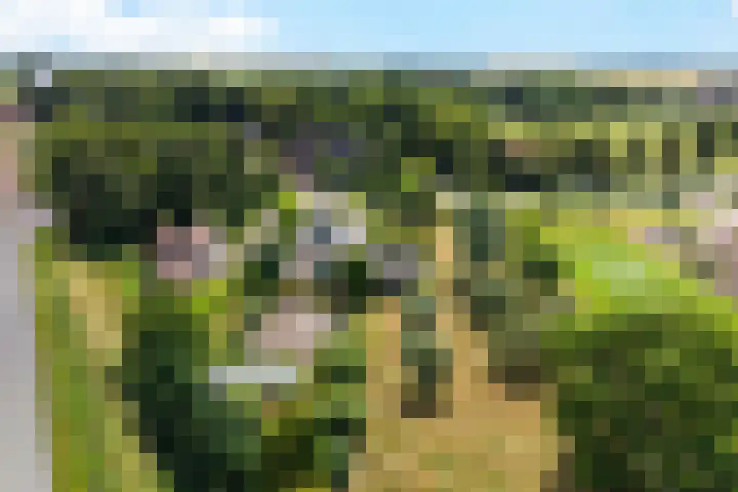 Tolweg 4 Appingedam thumbnail 9