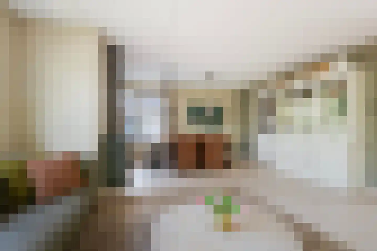 Tolweg 4 Markelo thumbnail 13