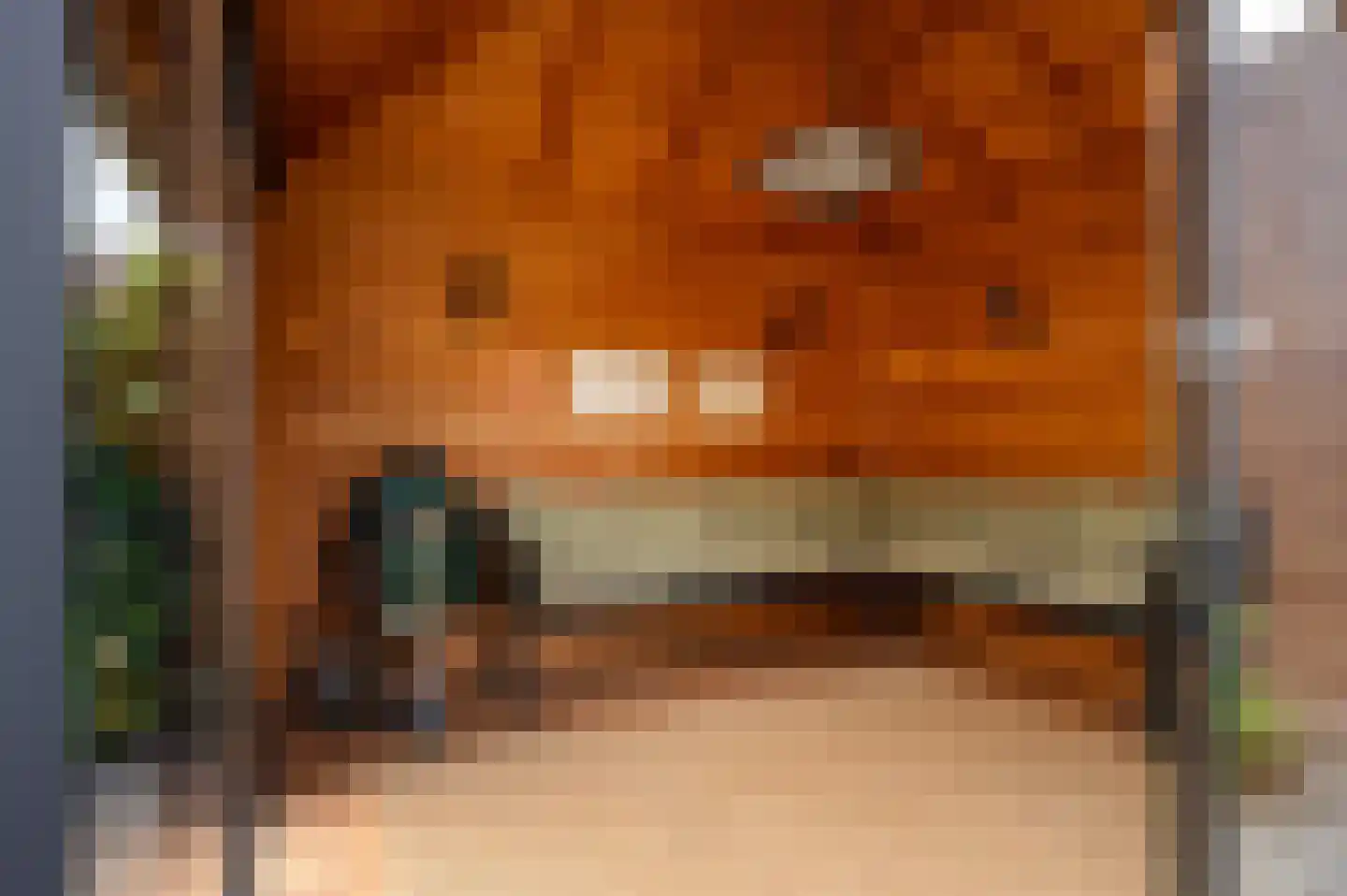 Tolweg 4 Markelo thumbnail 34