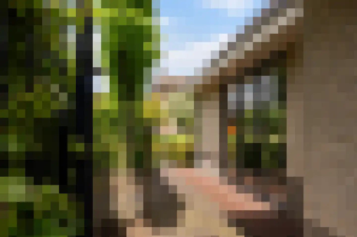 Tolweg 4 Markelo thumbnail 5