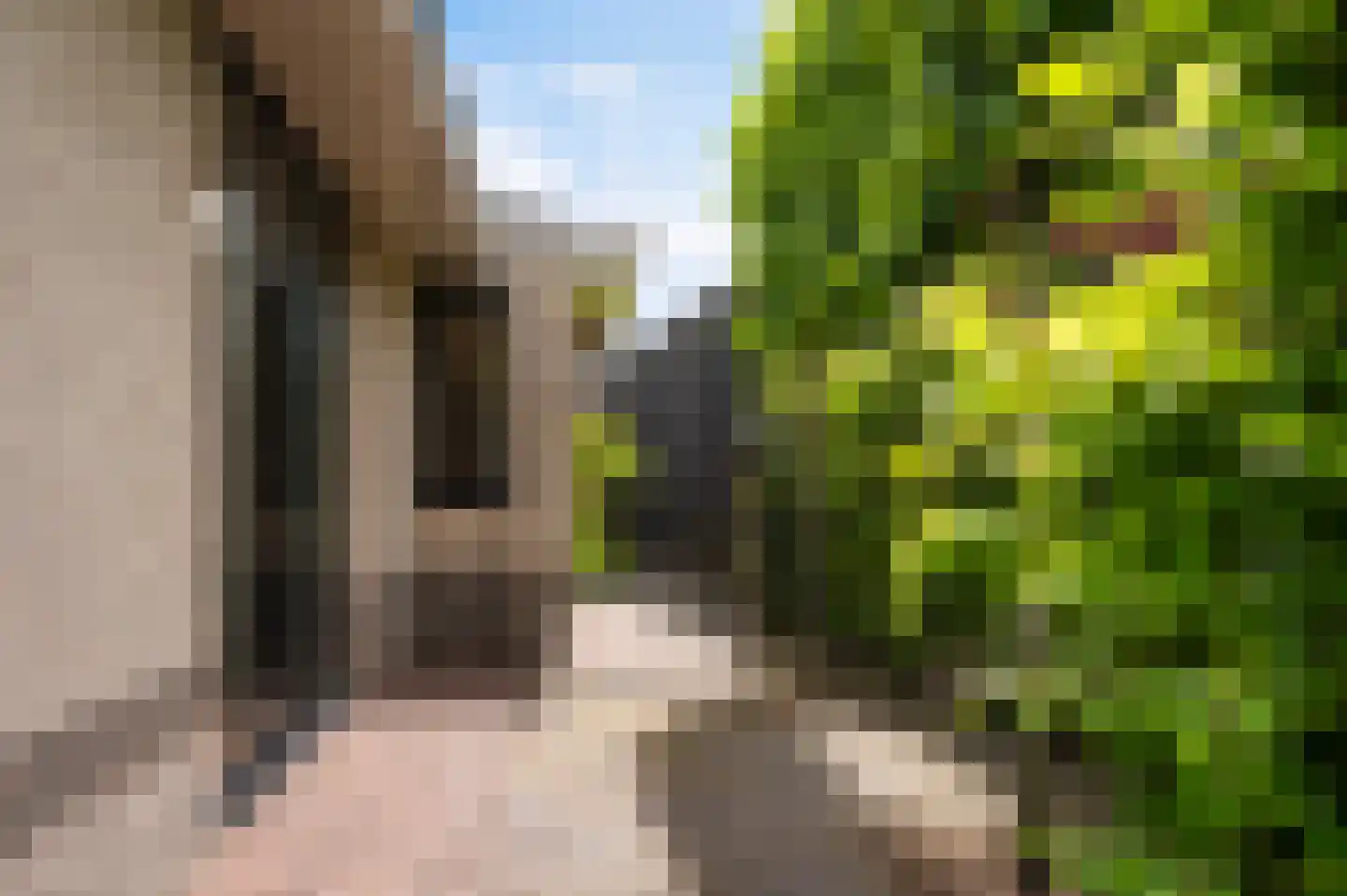 Tolweg 4 Markelo thumbnail 6