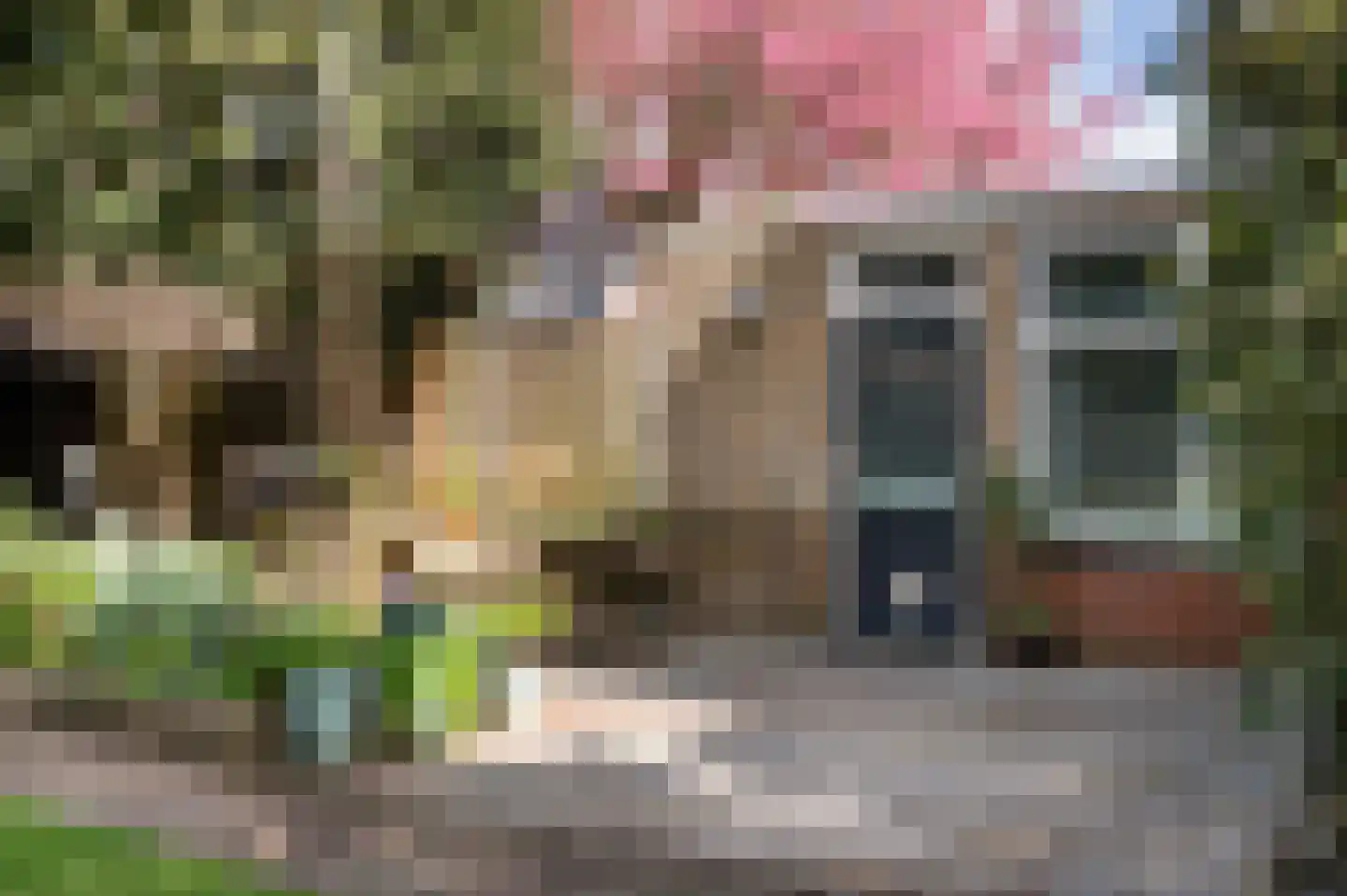 Tolweg 53 Markelo thumbnail 33
