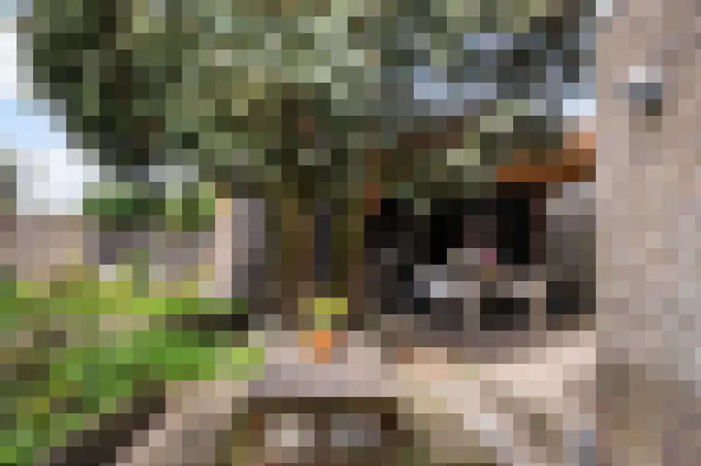 Tolweg 53 Markelo thumbnail 34