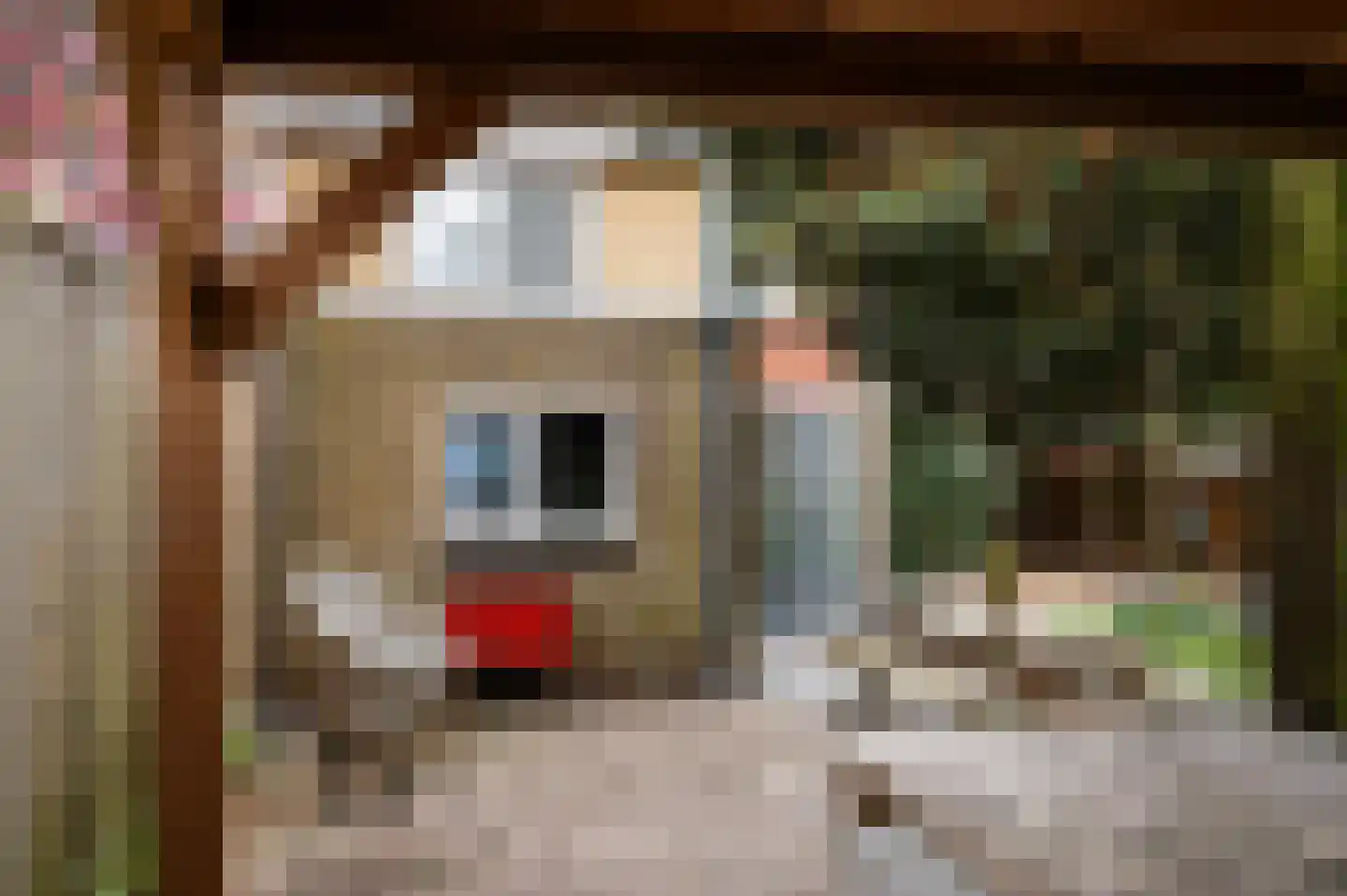 Tolweg 53 Markelo thumbnail 36