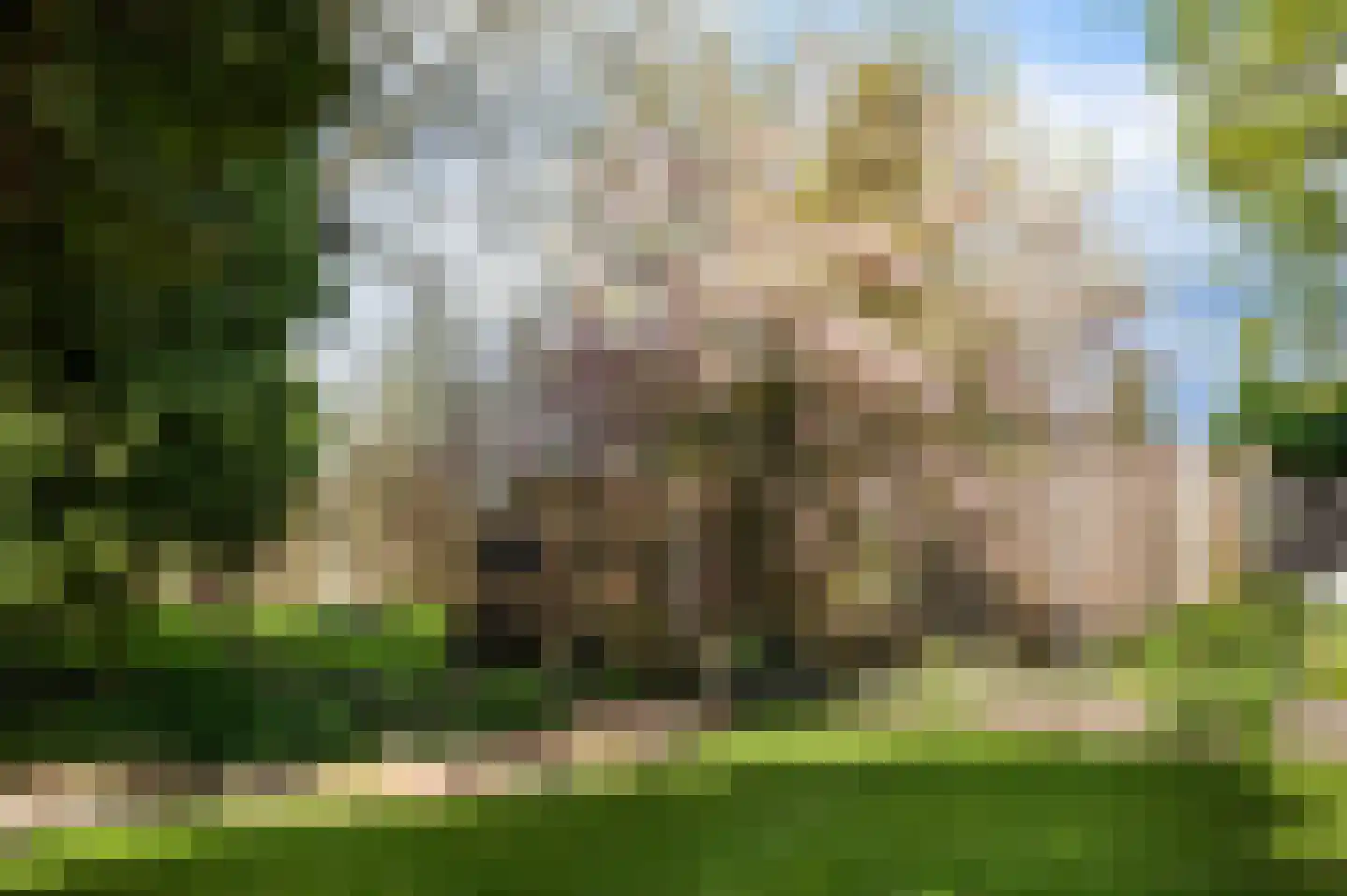 Tolweg 53 Markelo thumbnail 37