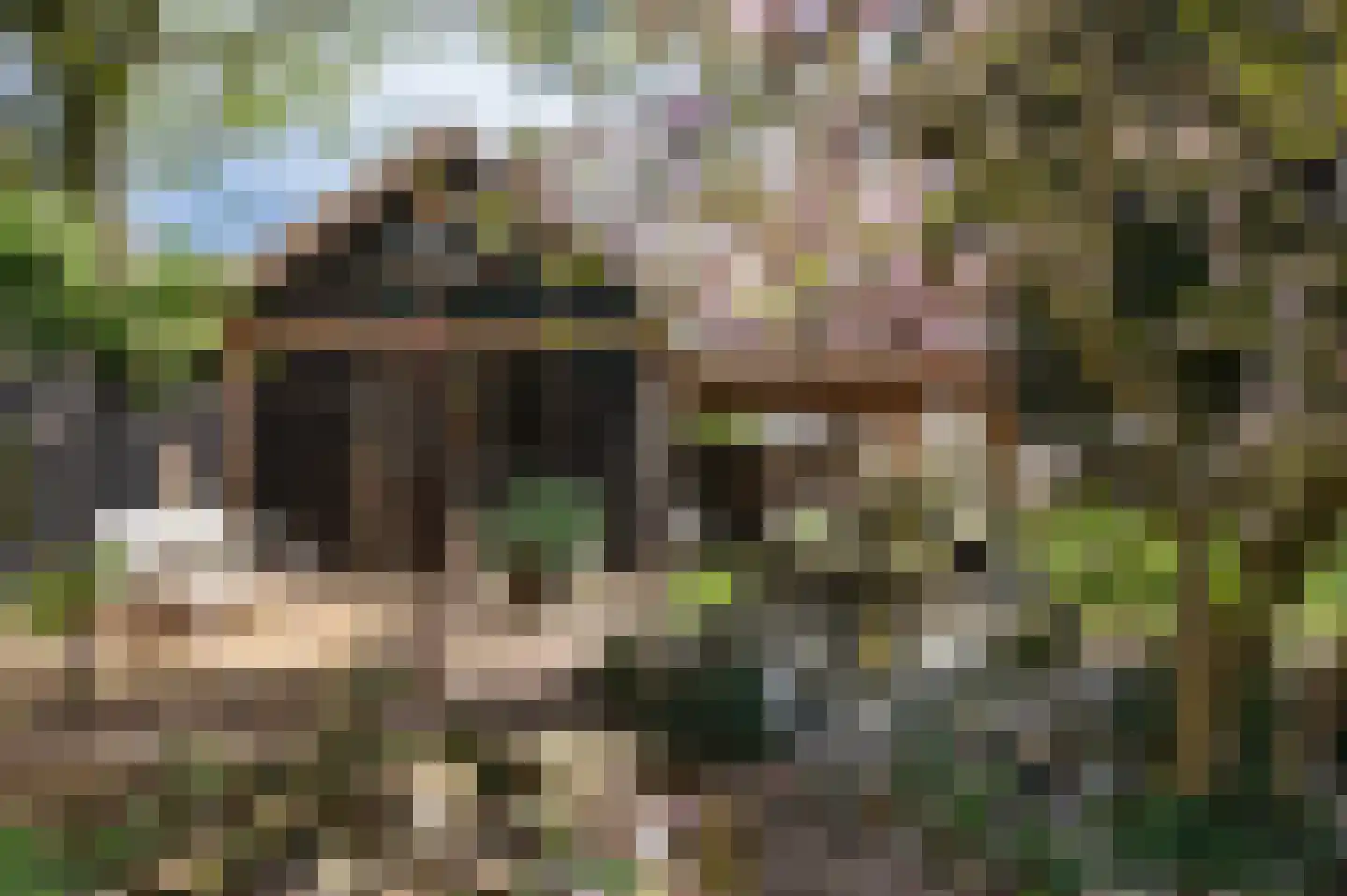 Tolweg 53 Markelo thumbnail 5