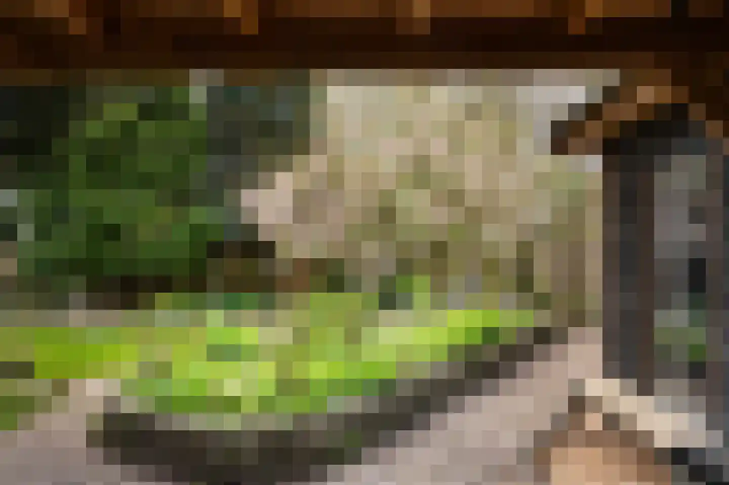 Tolweg 53 Markelo thumbnail 6